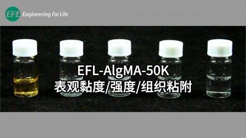 AlgMA-50K表觀黏度強度組織粘附