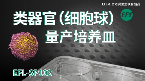 類器官（細(xì)胞球）量產(chǎn)培養(yǎng)皿