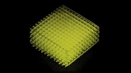 EFL青年論壇：生物3D打印制造技術