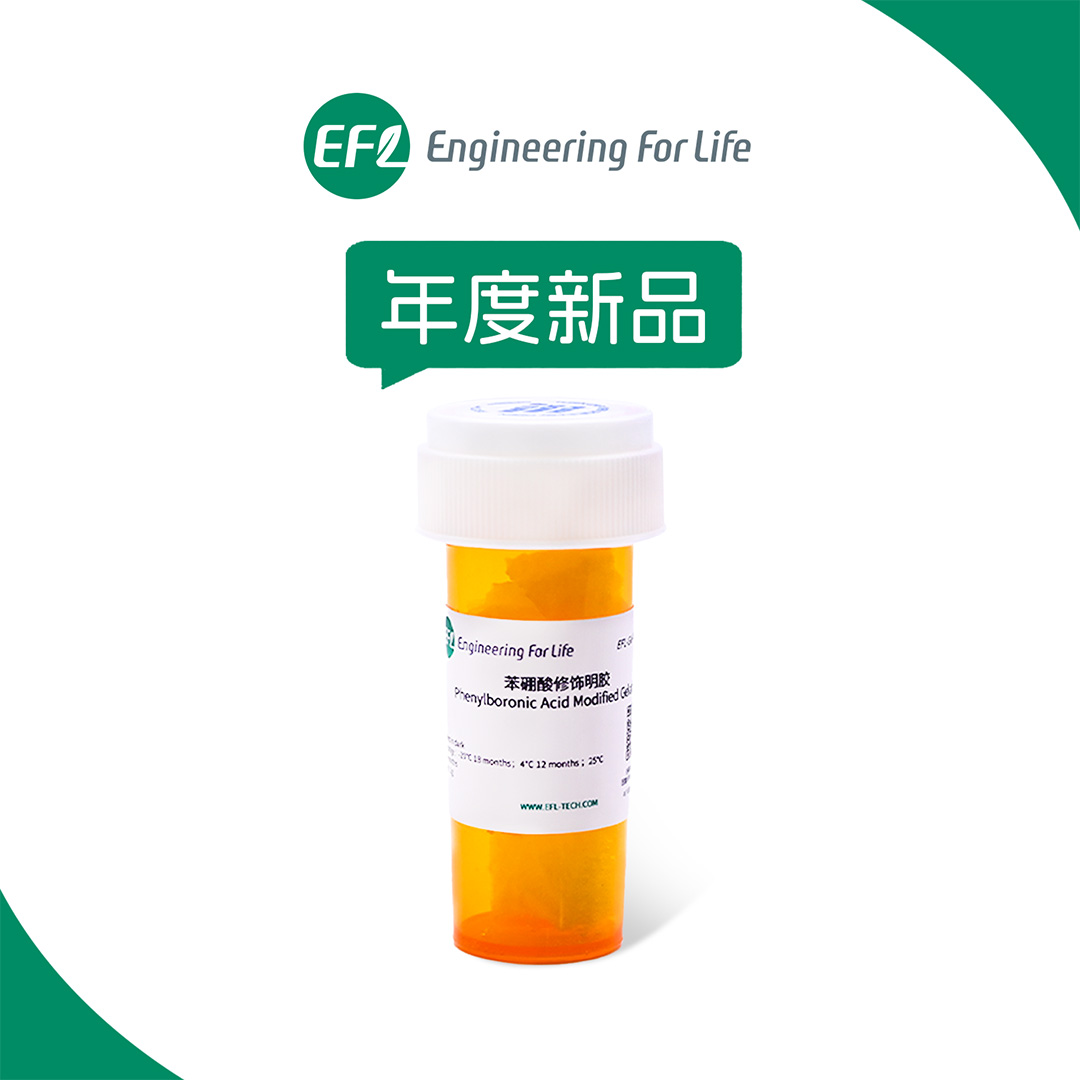苯硼酸修飾明膠（Gel-PBA）