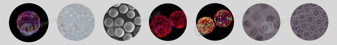1753668215656190.gif