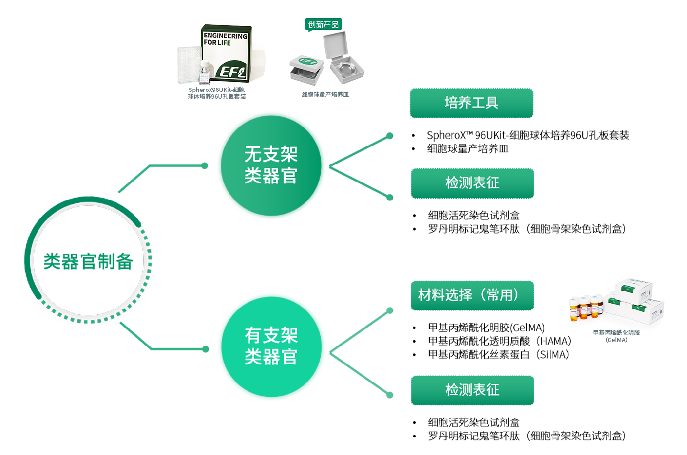 畫板 1.png